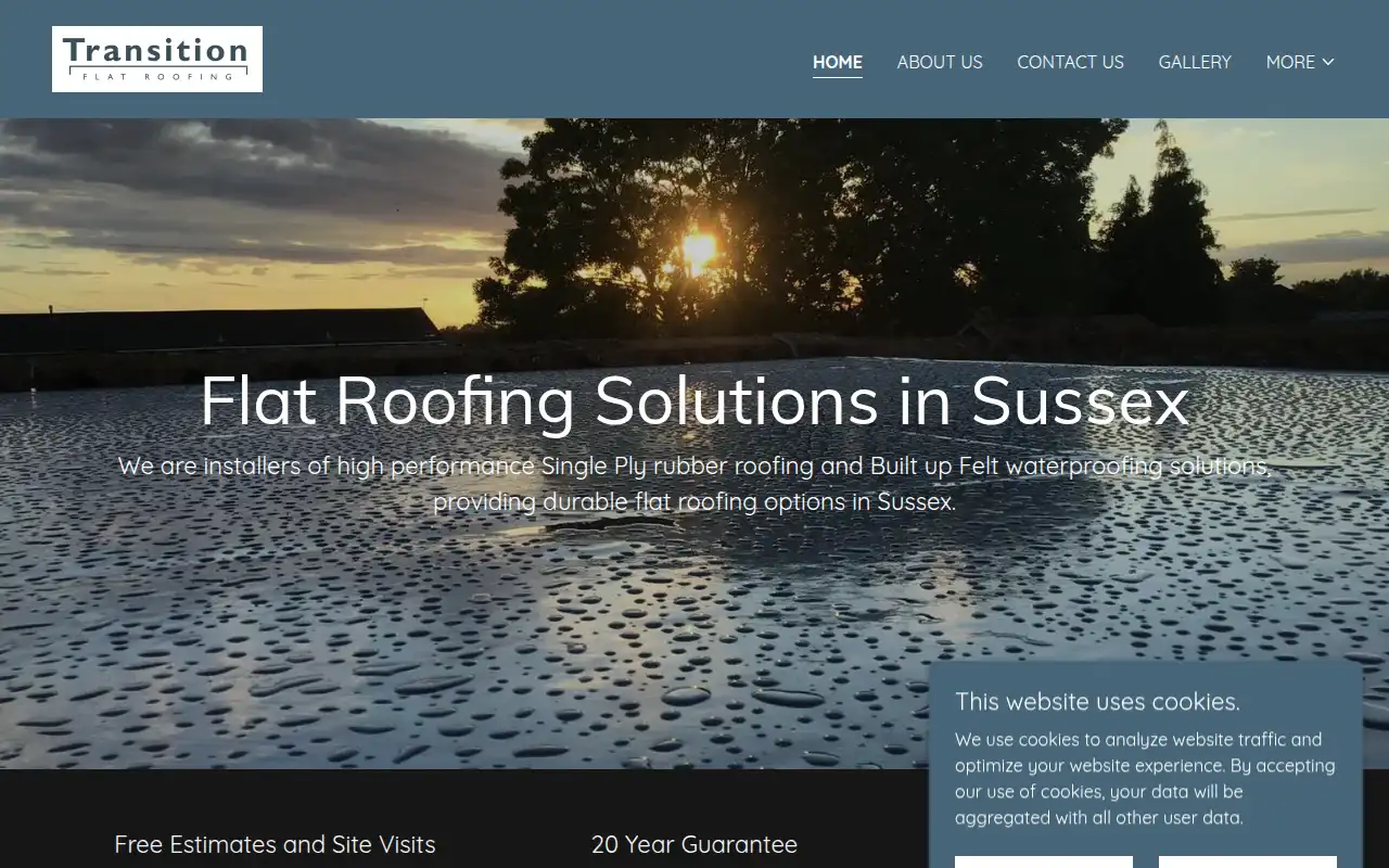 Transition Flat Roofing website homepage